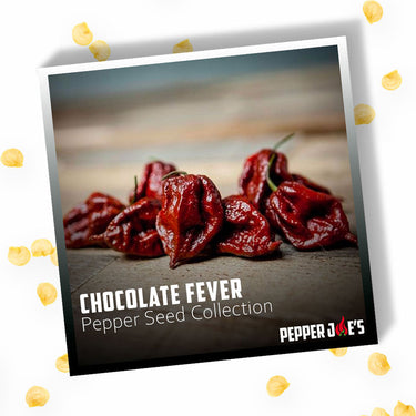 Chocolate Fever Pepper Seed Collection
